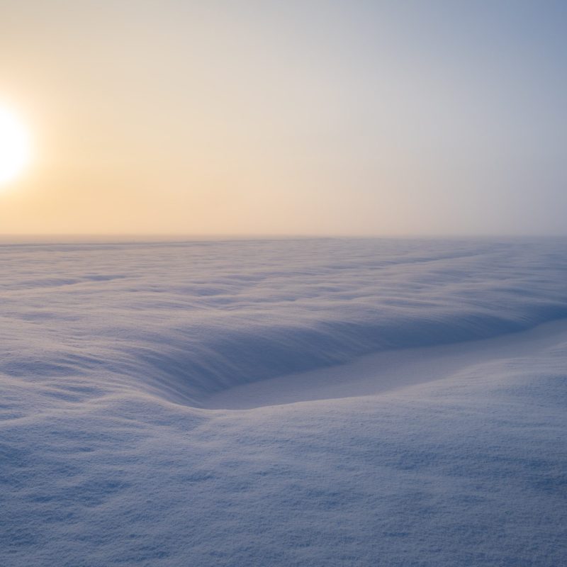 Snowy Field Under the Sun