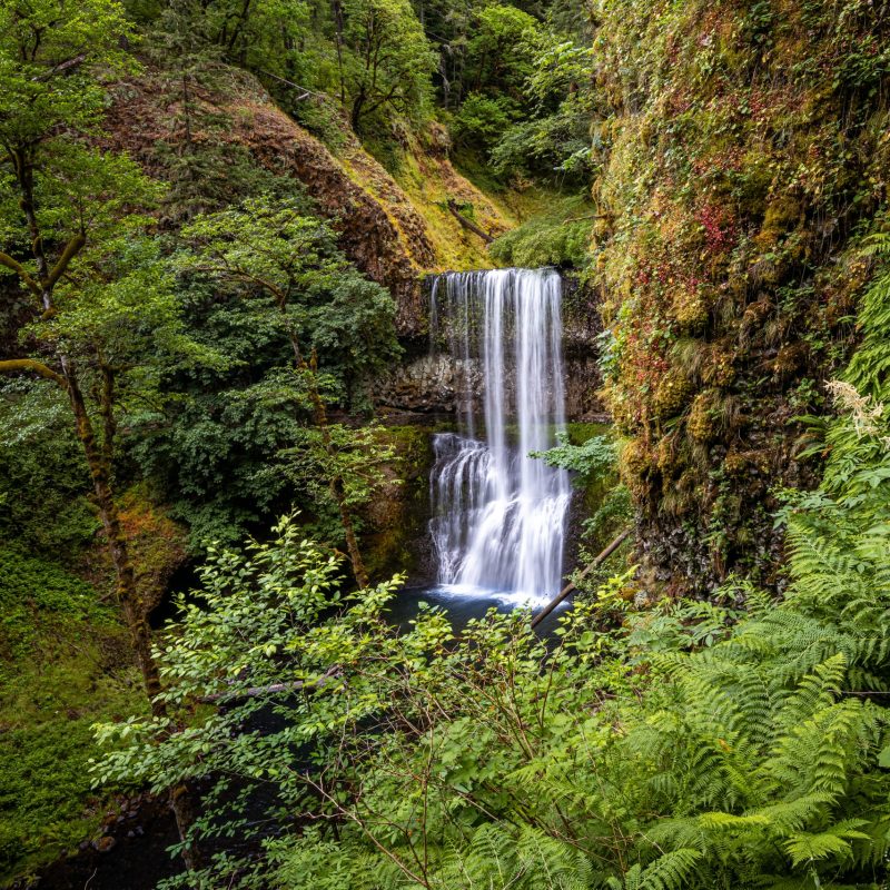 Silver Falls Hike
