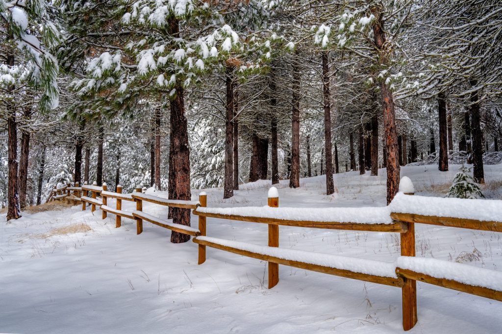 Snowy Fence in the Winter