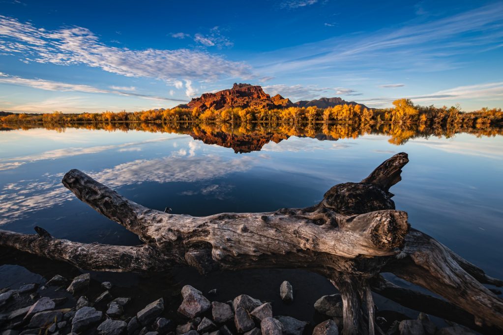 Salt River in Arizona