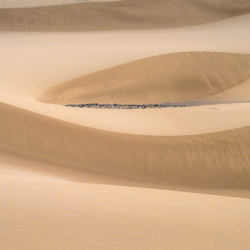 Sand Dunes