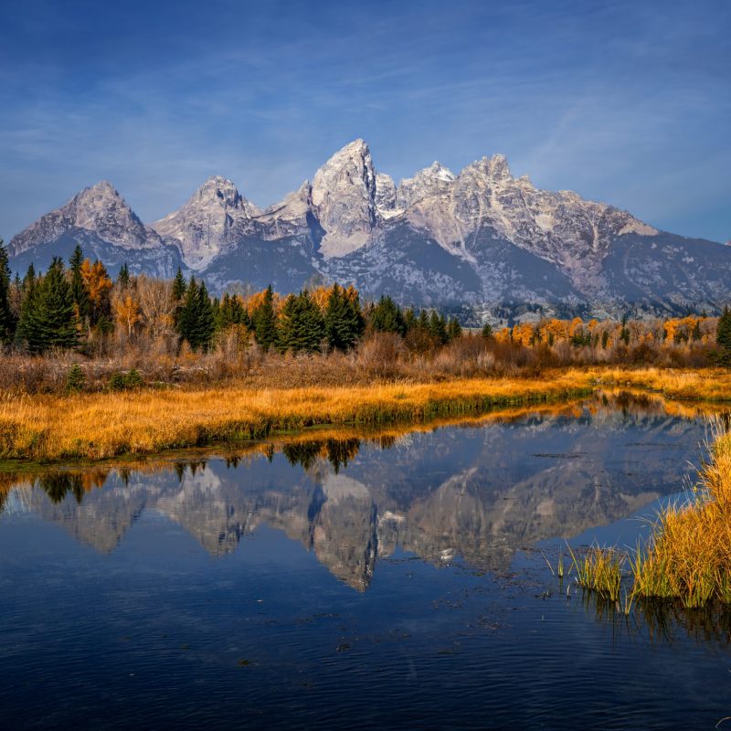 Schwabacher's Landing