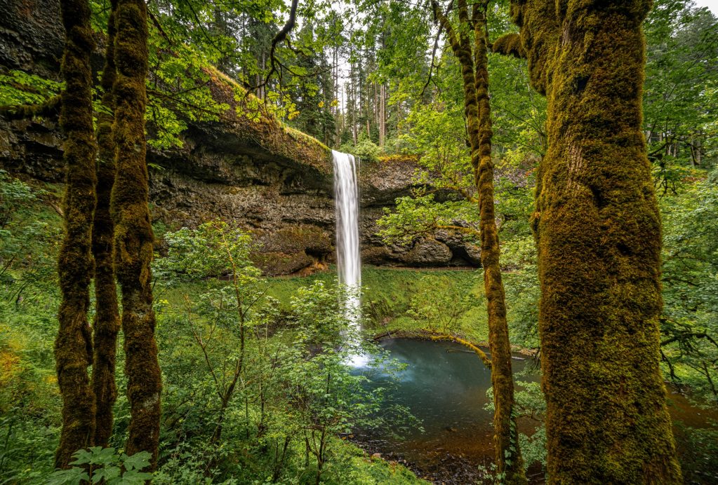 Silver Falls Near Portland