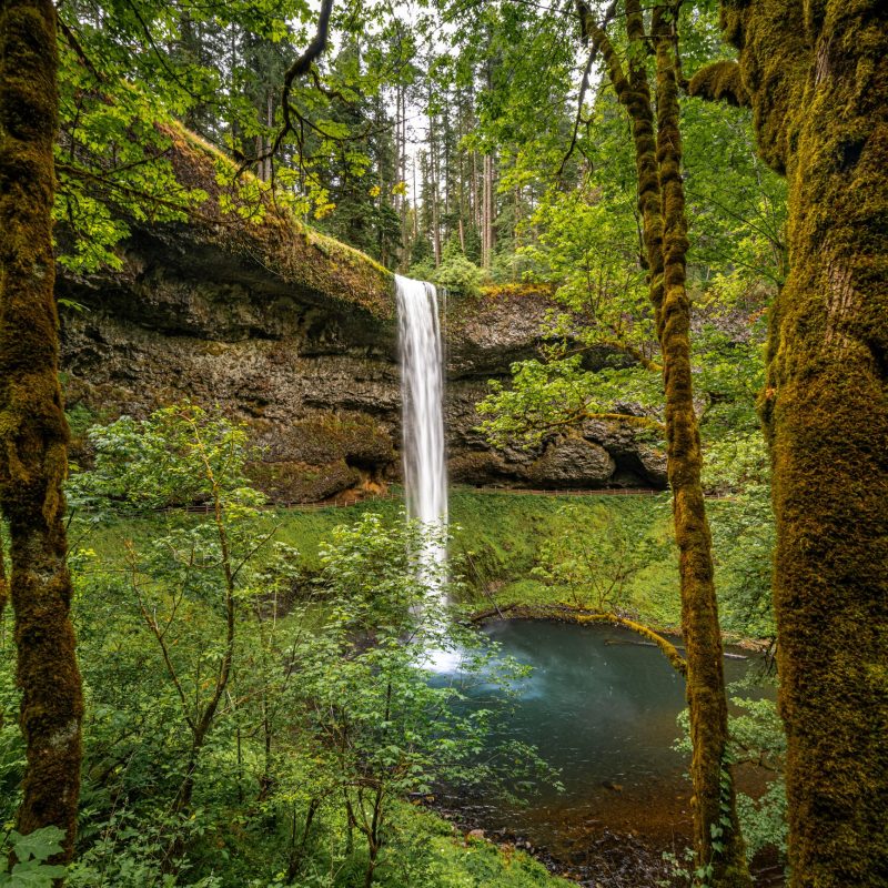 Silver Falls Near Portland